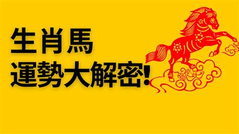 屬馬 2023 運勢|2023年12生肖運勢大全——生肖馬